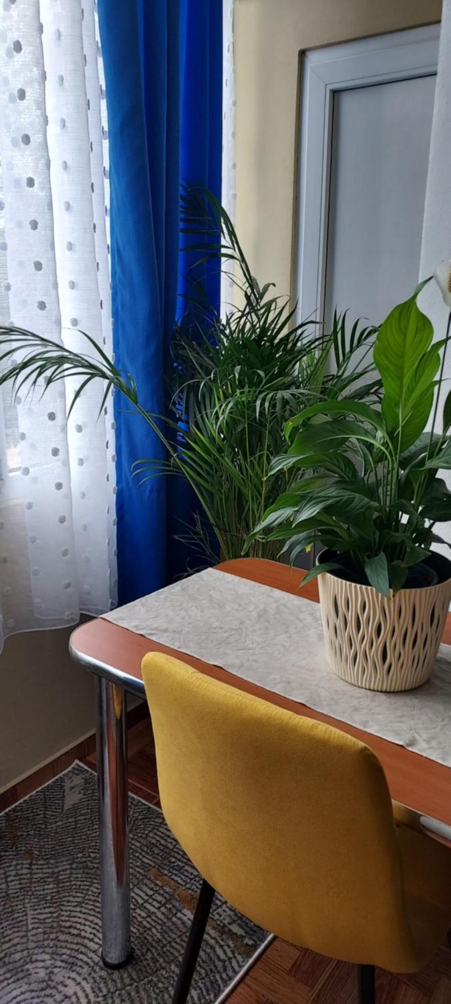 Апартаменти Apartament Gara Mica Арад Екстер'єр фото